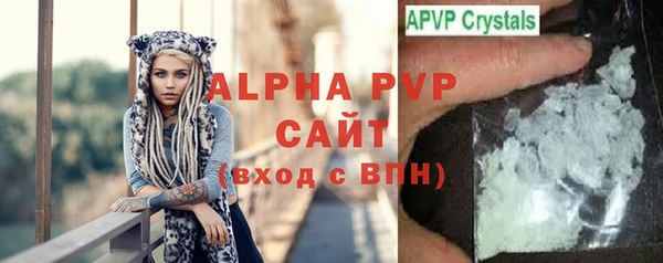 PSILOCYBIN Липки