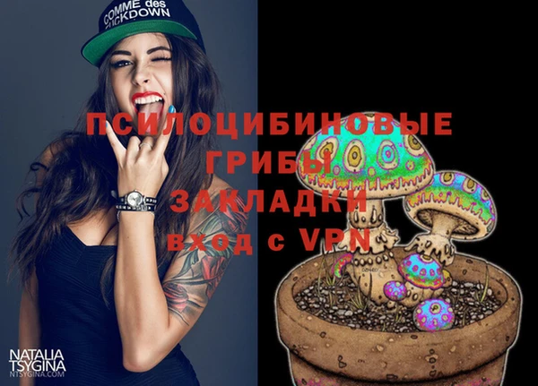 PSILOCYBIN Липки