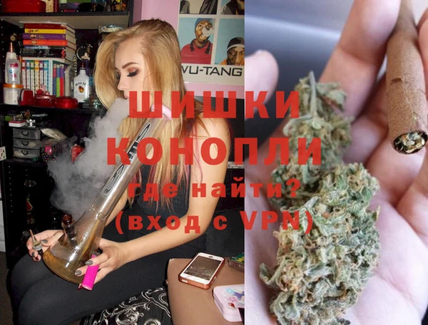 PSILOCYBIN Липки
