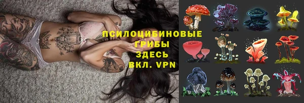PSILOCYBIN Липки