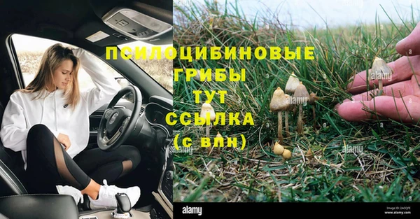 MDMA Premium VHQ Лиски