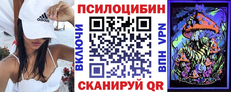 omg ТОР  Мещовск  Псилоцибиновые грибы мухоморы 