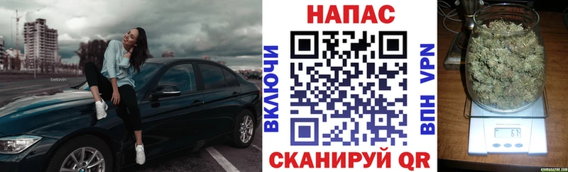 Бошки Шишки план  где продают   Мещовск 